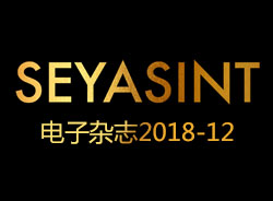 SEYASINT電子雜志2018-12